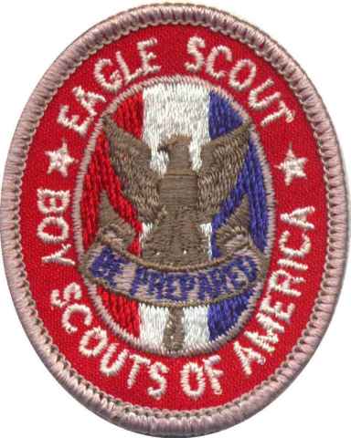 eagle pin