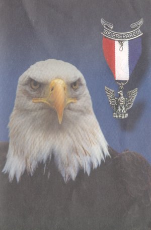 Eagle Pin